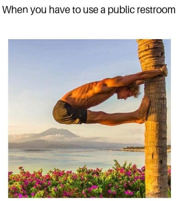 Meme of man doing yoga on a palm tree as to how it feels trying to use a public restroom.