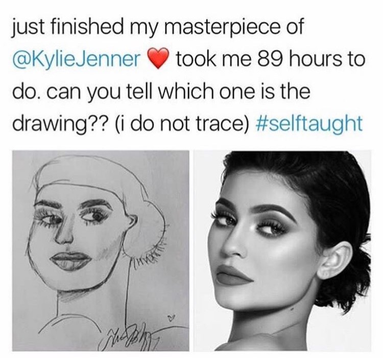 dank meme roasting kylie jenner and people who draw her portrait