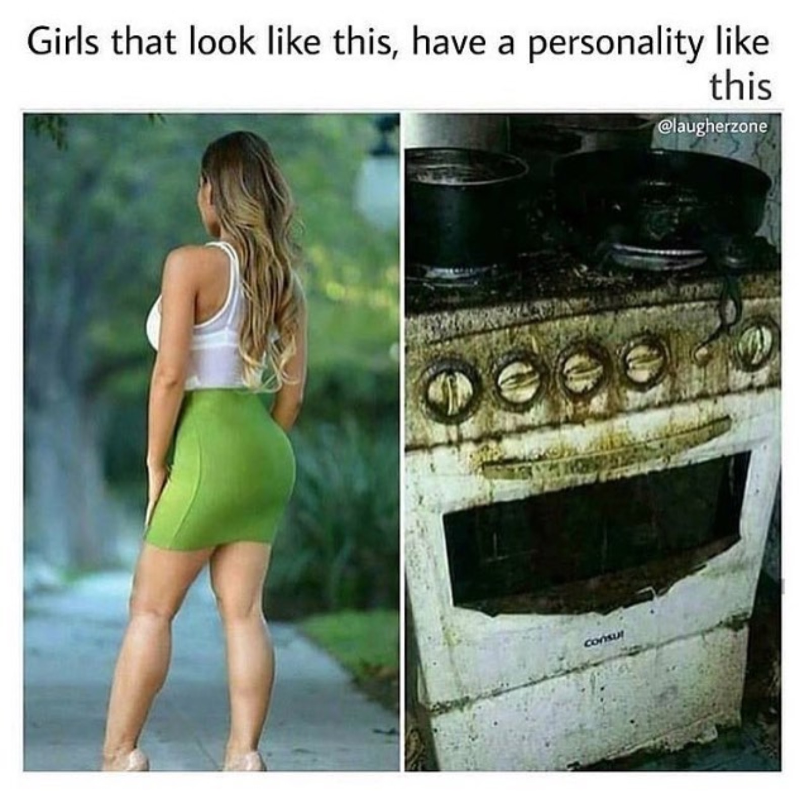Dank meme of girls who look hot have a personality like this disgusting oven.