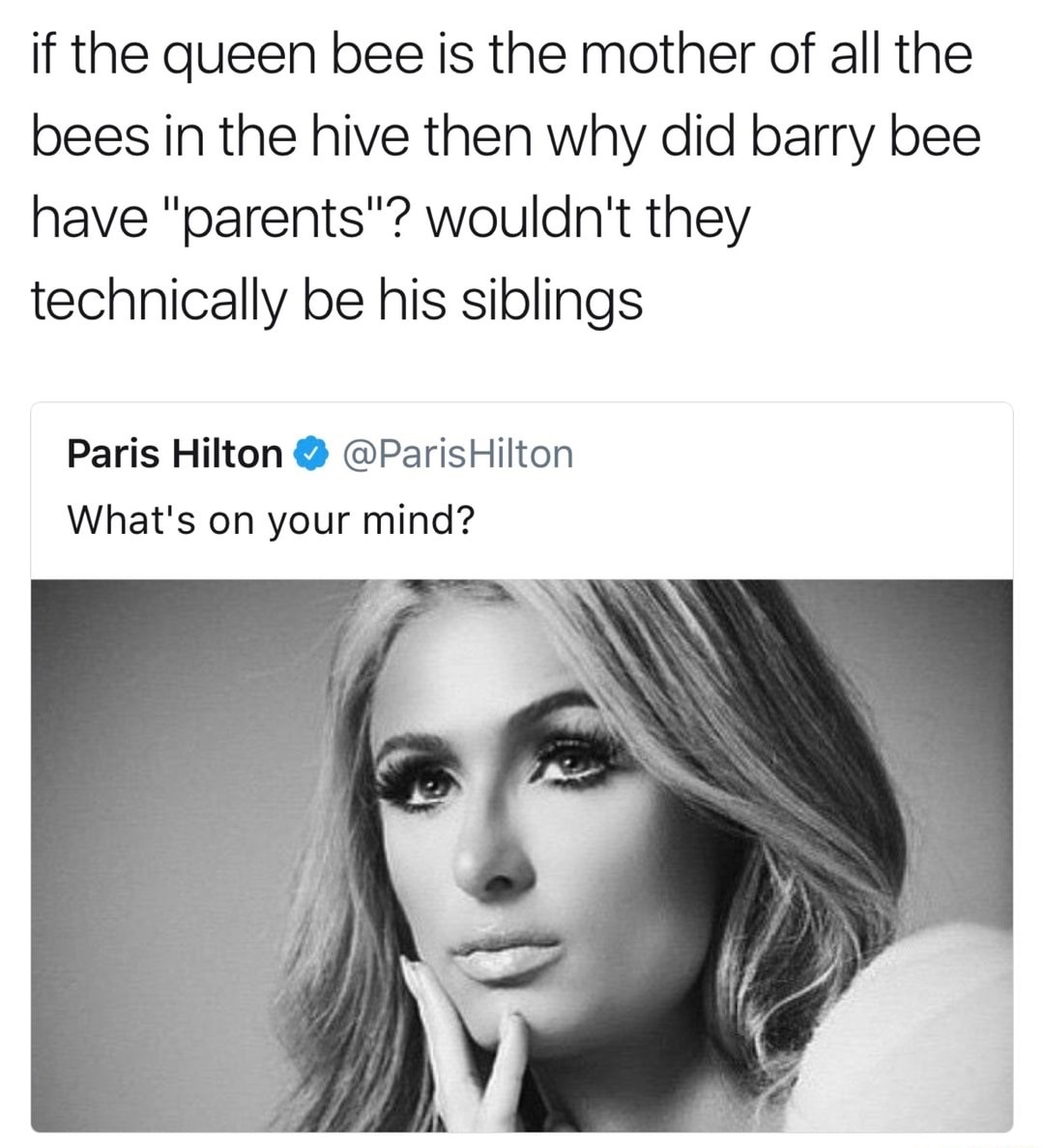 dank meme london tipton paris hilton - if the queen bee is the mother of all the bees in the hive then why did barry bee have "parents"? wouldn't they technically be his siblings Paris Hilton Hilton What's on your mind?