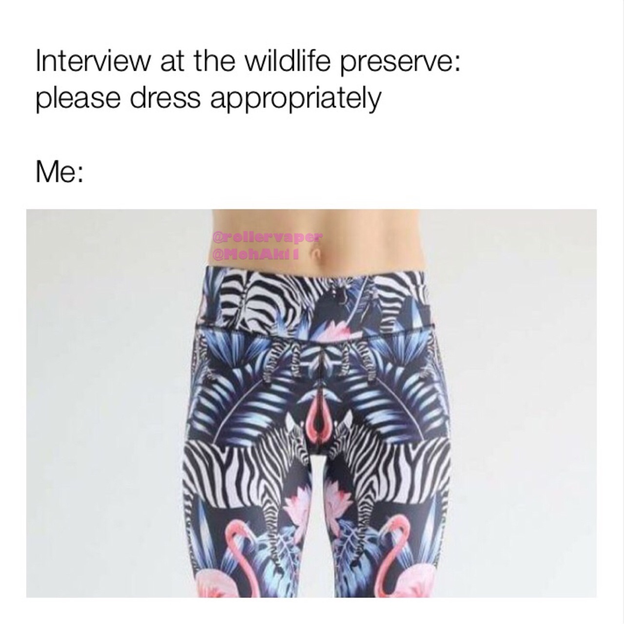 dank meme terrible design - Interview at the wildlife preserve please dress appropriately Me Aris