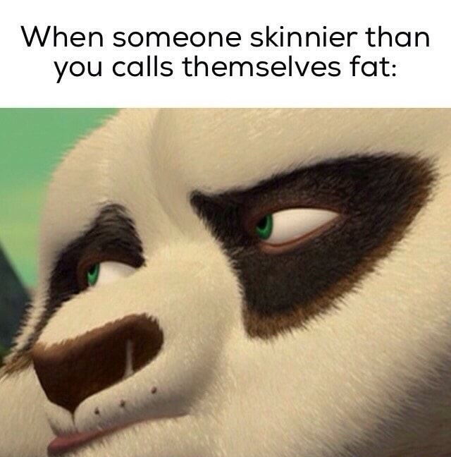 dank meme kung fu panda mr ping - When someone skinnier than you calls themselves fat