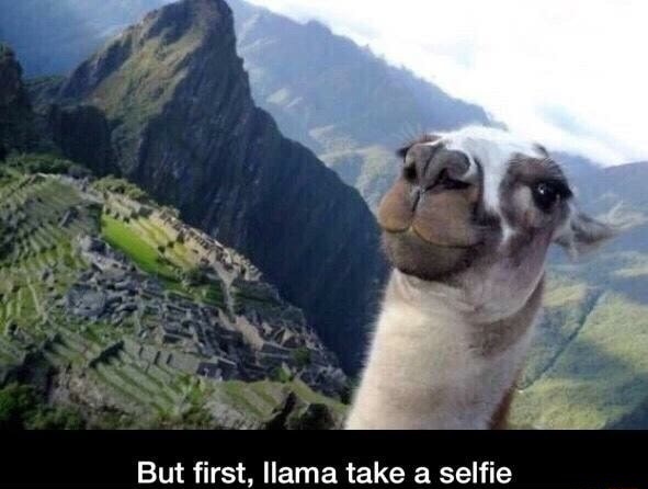 dank meme machu picchu - But first, llama take a selfie