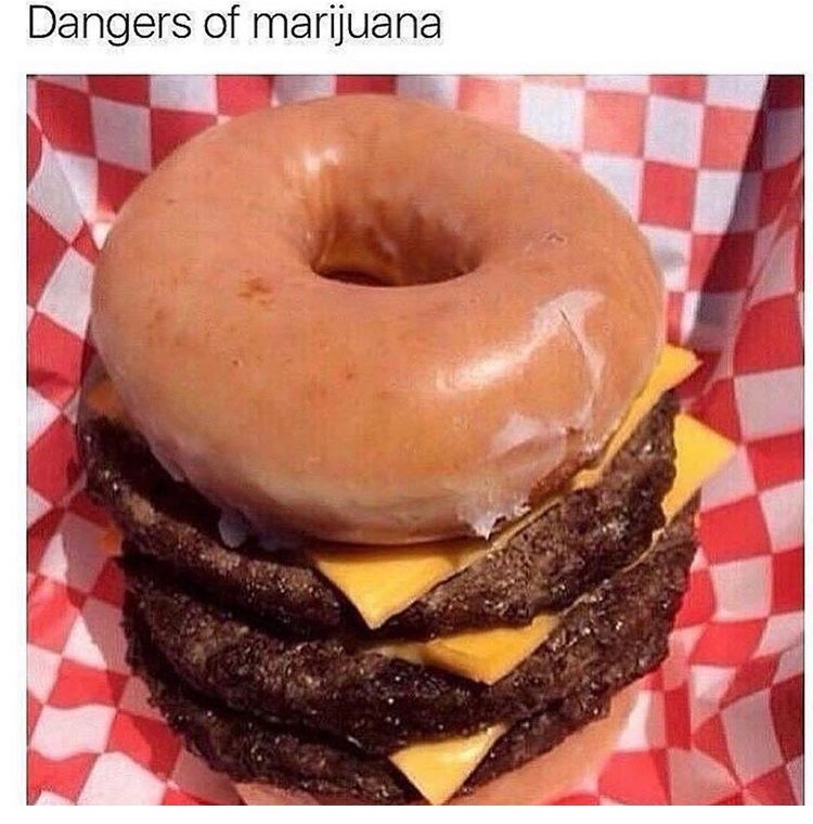 Donut cheeseburger as the dangers of Marijuana.