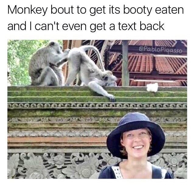 Pic of woman and what are those monkeys behind her doing