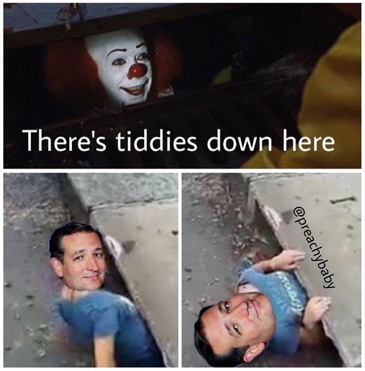 memes - photo caption - There's tiddies down here