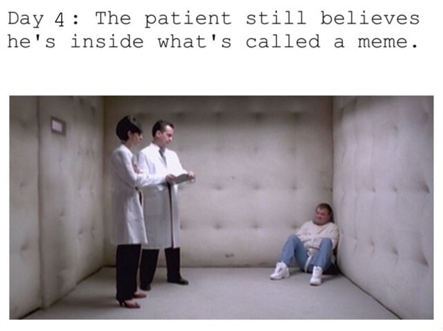 memes - padded cell meme - Day 4 The patient still believes he's inside what's called a meme.