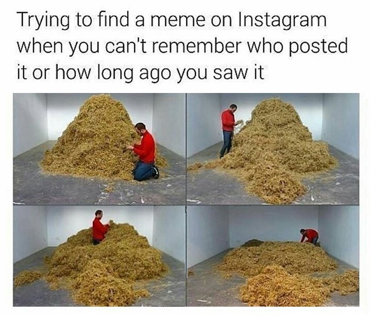 memes - Nursing - Trying to find a meme on Instagram when you can't remember who posted it or how long ago you saw it