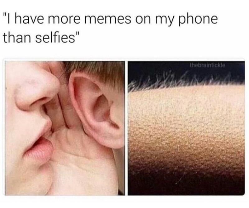 memes - Meme - "I have more memes on my phone than selfies" thebraintickle