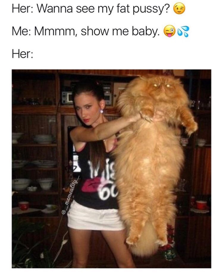 memes - bigger cat - Her Wanna see my fat pussy? Me Mmmm, show me baby. 07 Her