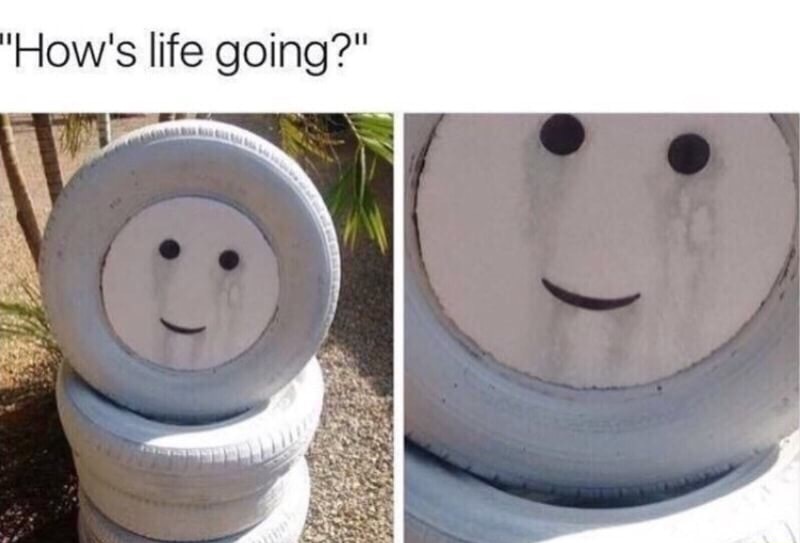 memes - how's life going meme - "How's life going?"