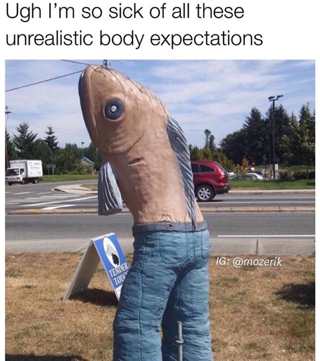 memes - unrealistic body expectations meme - Ugh I'm so sick of all these unrealistic body expectations Ig Tender W