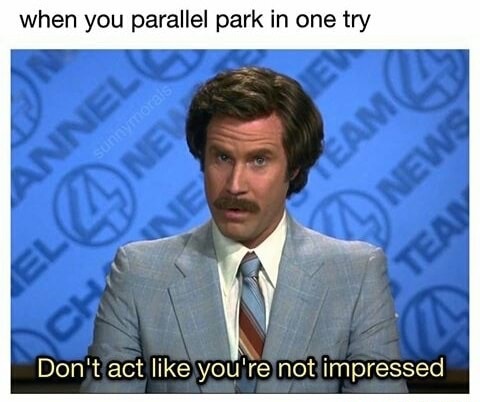 memes - spokesperson - when you parallel park in one try Bam Anne L News Don't act you're not impressed