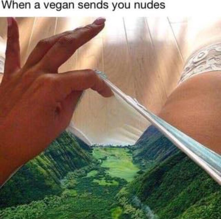 memes - vegans send nudes - When a vegan sends you nudes