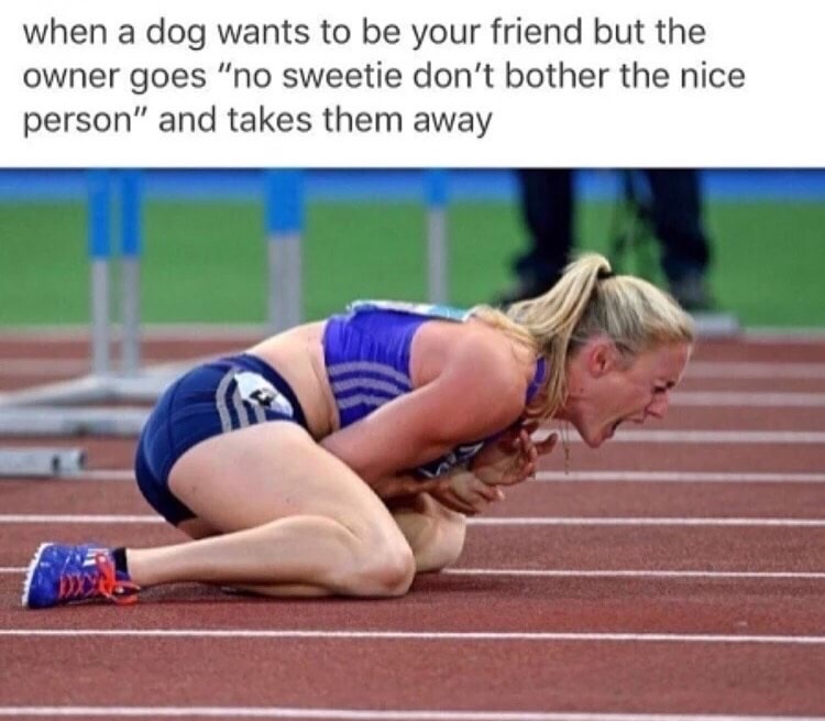 Funny meme of injured runner as reaction to when you want to make friends with a dog but the owner doesn't want to 'bother you'