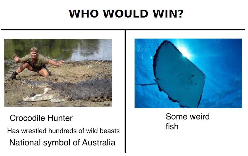 Dank meme about Steve Irwin and a question of who would win, with pic of stingray.