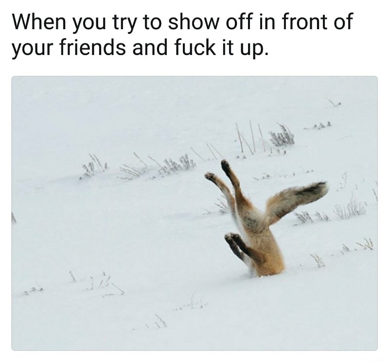 Head planted fox as funny meme of when you try and fail to show off in front of your friends.