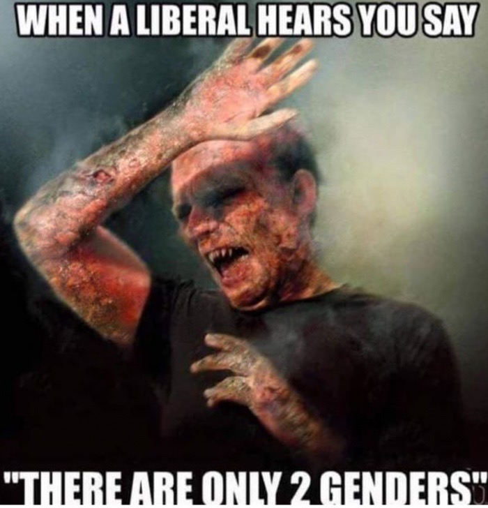 Vampire burning in the light as to how it feels for a liberal to hear you say there are only 2 genders