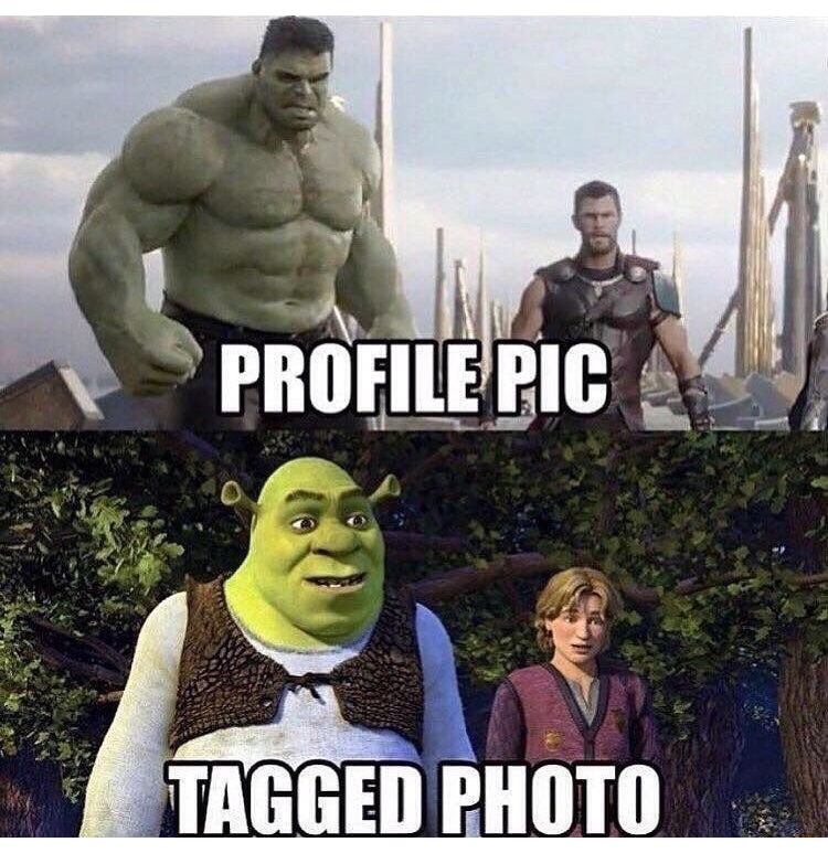 Funny meme of profile pic vs Tagged pic