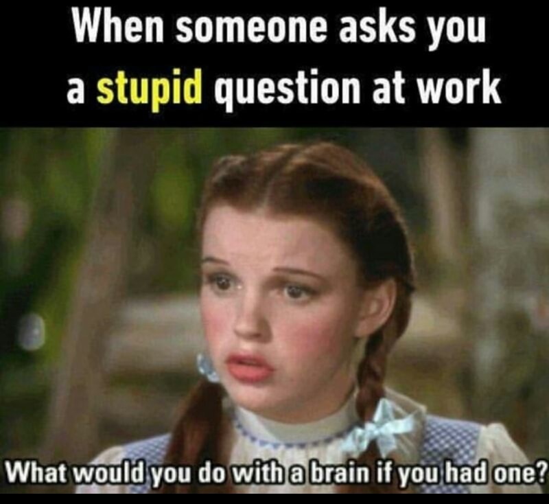 Funny meme of Dorothy From the Wizard of Oz as asking someone what they would do with a brain if they had one after they ask a dumb question.