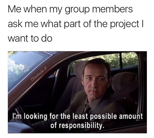 funny meme of Kevin Spacey from American Beauty as to how it feels when there is a group project
