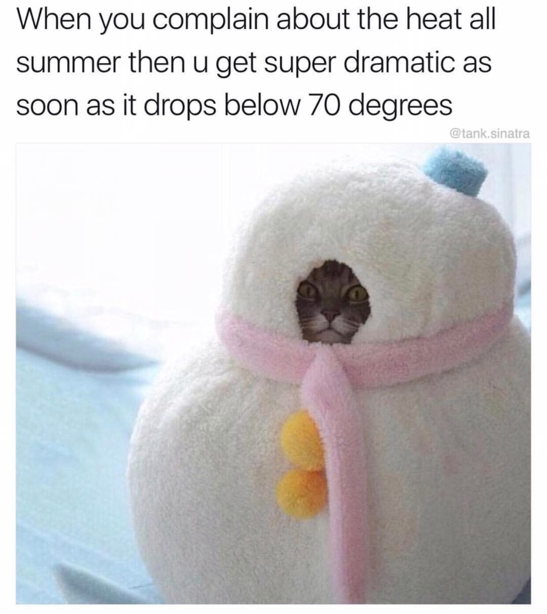 Hilarious meme about when summer ends and starts to cool down