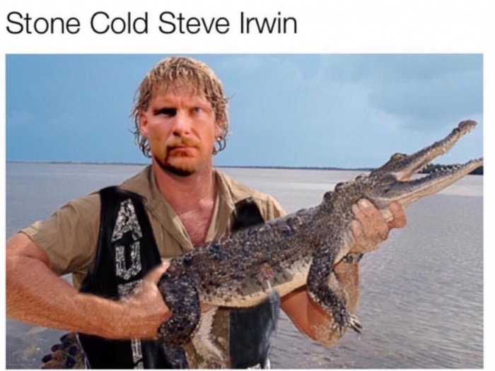 crocodile hunter - Stone Cold Steve Irwin
