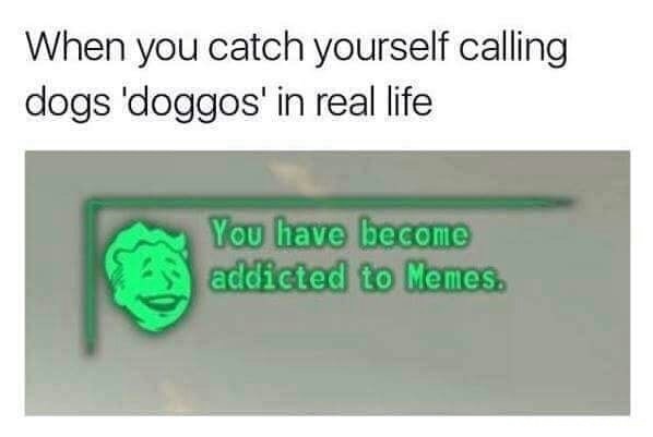 you have become addicted to memes - When you catch yourself calling dogs 'doggos' in real life You have become addicted to Memes