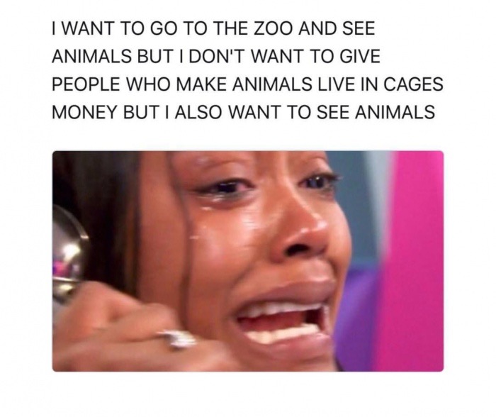 best friend memes - I Want To Go To The Zoo And See Animals But I Don'T Want To Give People Who Make Animals Live In Cages Money But I Also Want To See Animals