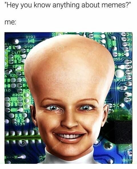 women with big forehead - "Hey you know anything about memes?" me E Deo 2058 Dios 6 R205 R208 09