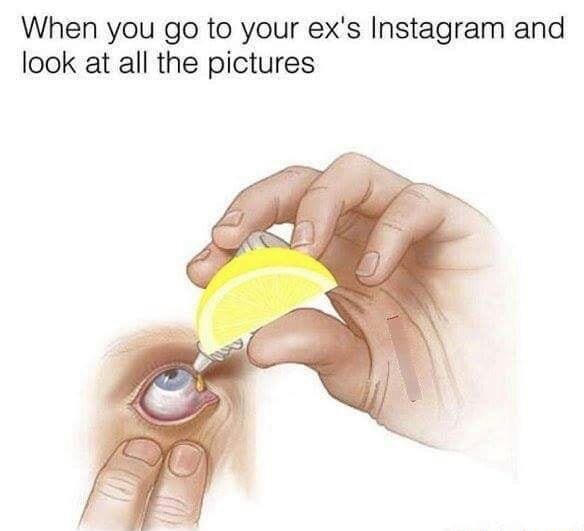 eye drop apply - When you go to your ex's Instagram and look at all the pictures