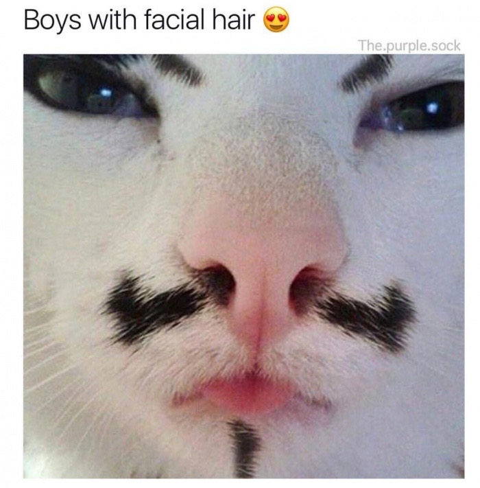 guys with facial hair meme - Boys with facial hair The.purple.sock