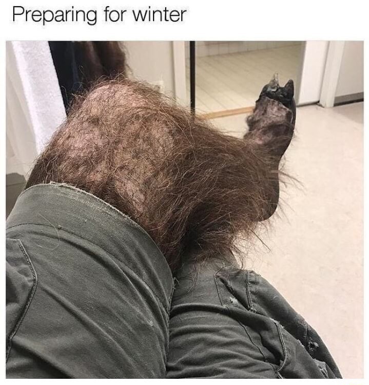 memes - Preparing for winter