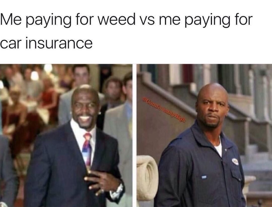 memes - buying food meme - Me paying for weed vs me paying for car insurance way