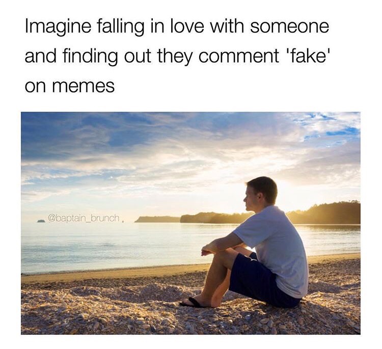 memes about falling for someone - Imagine falling in love with someone and finding out they comment 'fake' on memes