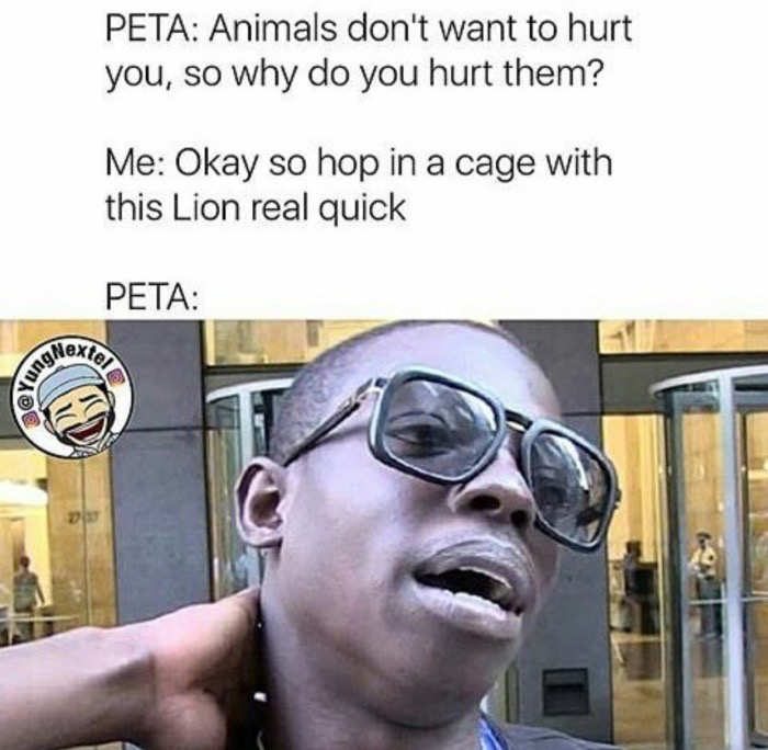 cant wait to spoil my girl meme - Peta Animals don't want to hurt you, so why do you hurt them? Me Okay so hop in a cage with this Lion real quick Peta Loxtel sung