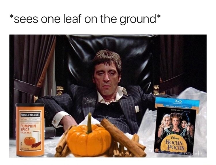 scarface tamales meme - sees one leaf on the ground World Market Pumpkin Spice Cocoa Md Disney Hocus Pocus