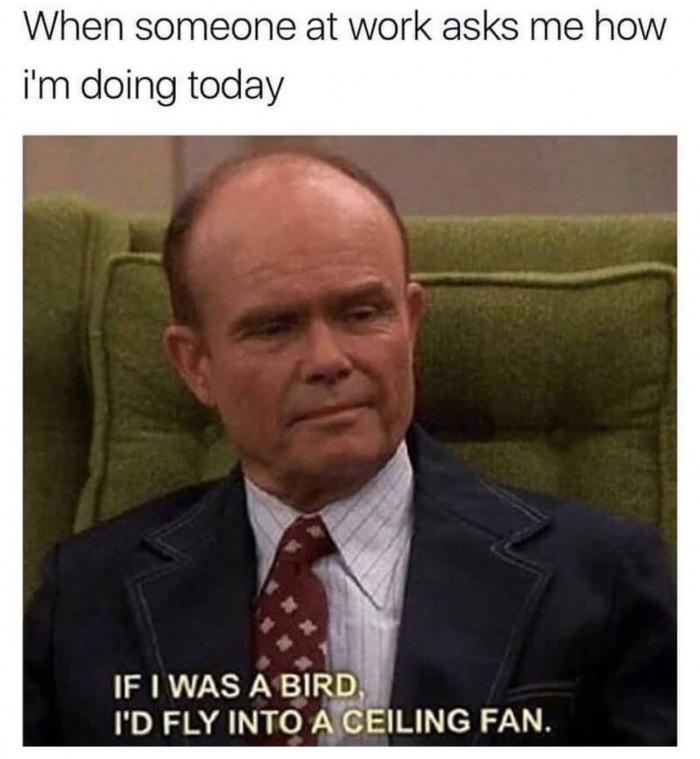 funny work memes - When someone at work asks me how i'm doing today If I Was A Bird I'D Fly Into A Ceiling Fan.