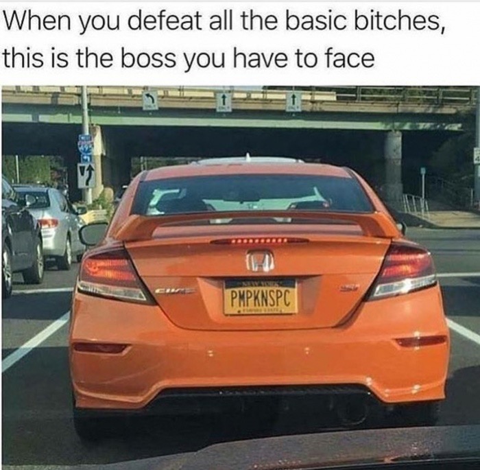 basic bitch meme - When you defeat all the basic bitches, this is the boss you have to face Pmpknspc