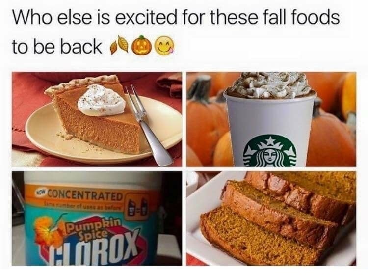funny meme of baking - Who else is excited for these fall foods to be back 00 Concentrated Pumpkin Valorox pice