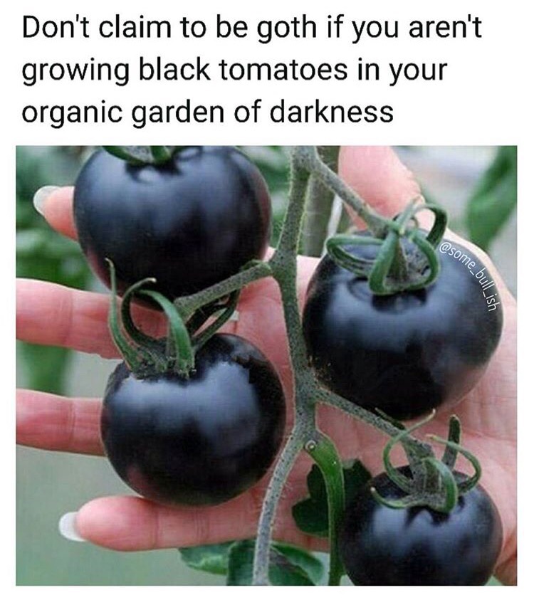 black heirloom tomatoes - Don't claim to be goth if you aren't growing black tomatoes in your organic garden of darkness ne_bull_ish
