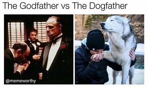 photo caption - The Godfather vs The Dogfather