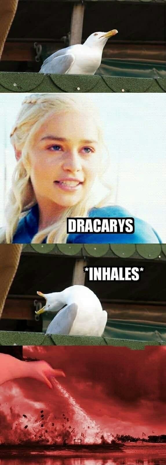 seagull inhales meme - Dracarys Inhales