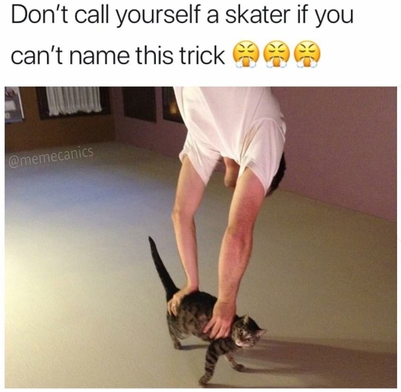 handstand cat - Don't call yourself a skater if you can't name this trick