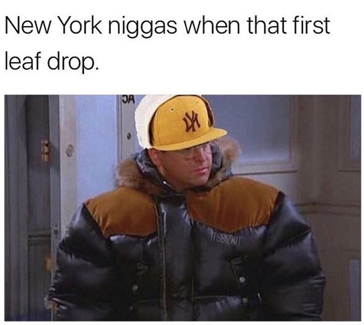 its gore tex seinfeld - New York niggas when that first leaf drop.