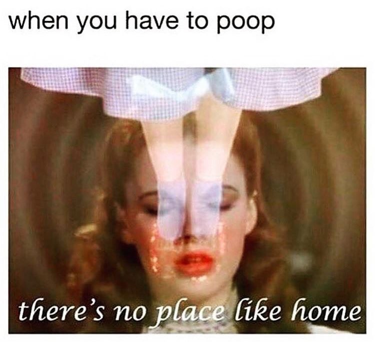 theres no place like home meme - when you have to poop there's no place home