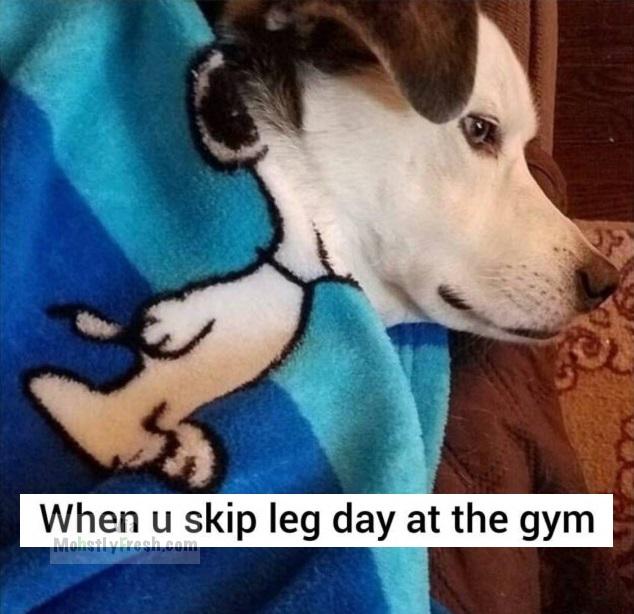 real snoopy - When u skip leg day at the gym Mobily vech.com