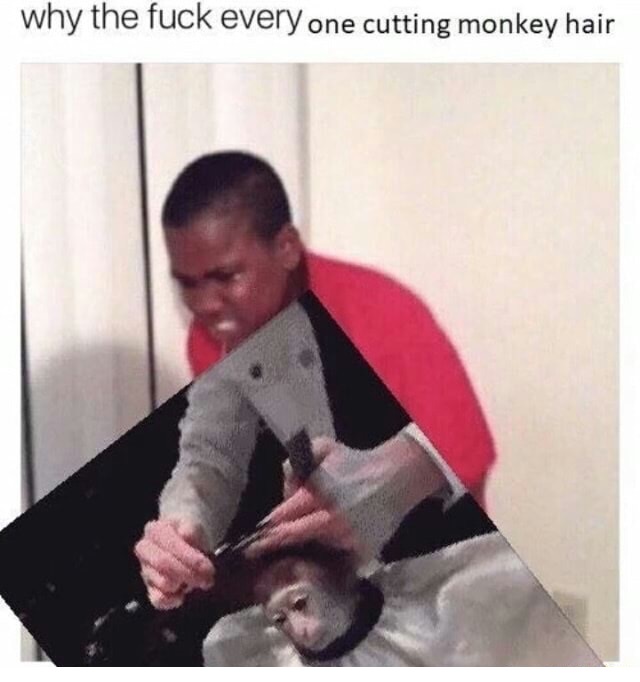 memes - cutting monkey hair meme - why the fuck every one cutting monkey hair