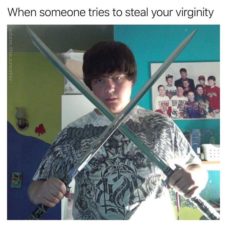 memes - mall ninjas - When someone tries to steal your virginity adam.the.creator