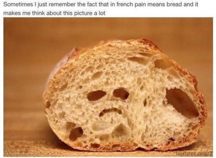 memes - french pain memes - Sometimes I just remember the fact that in french pain means bread and it makes me think about this picture a lot